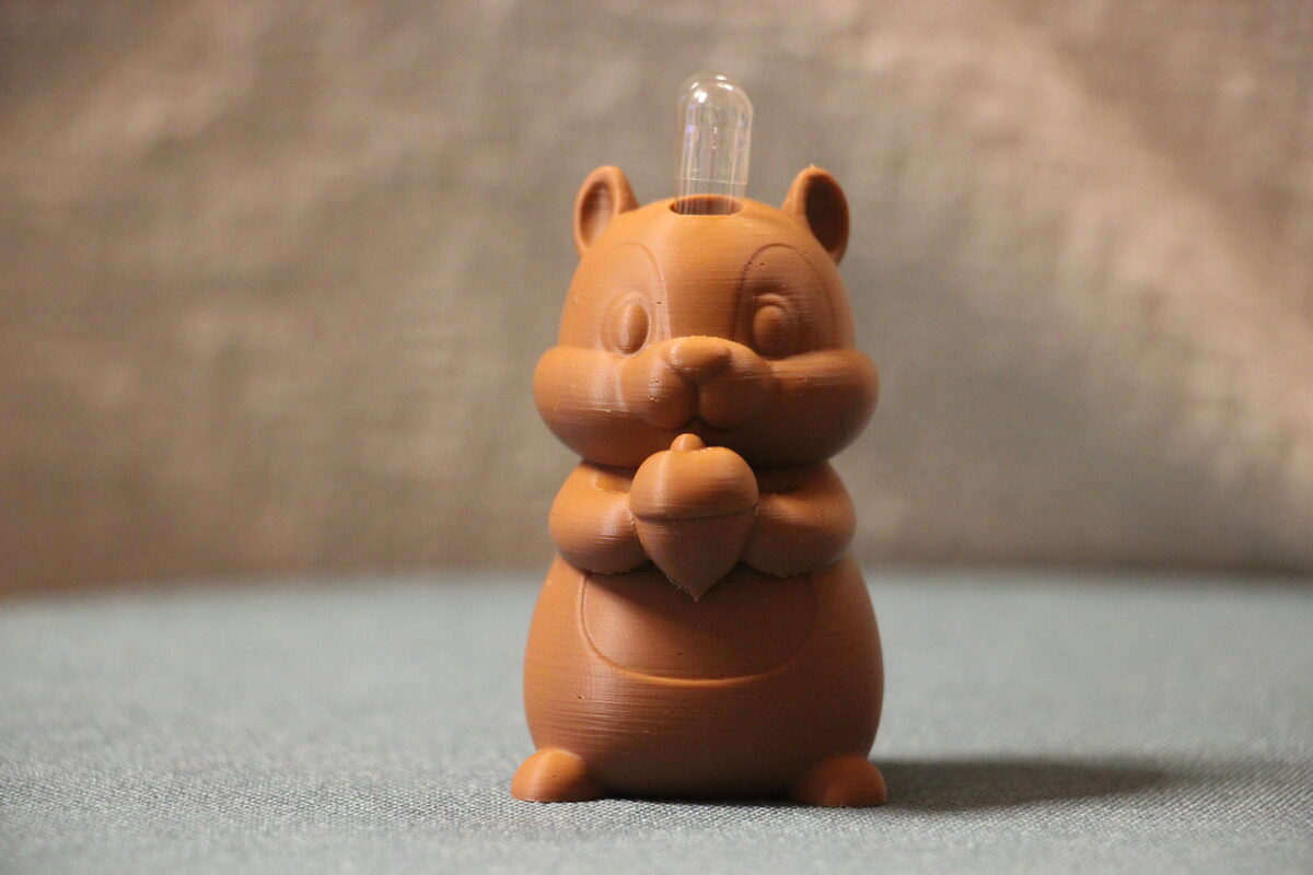 Kapselhalter Eichhörnchen Braun