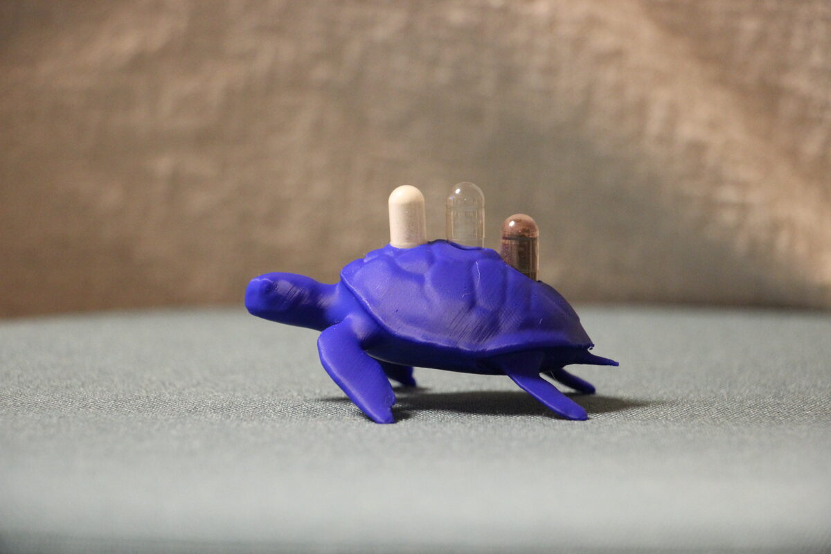 Kapselhalter Schildkröte Blau