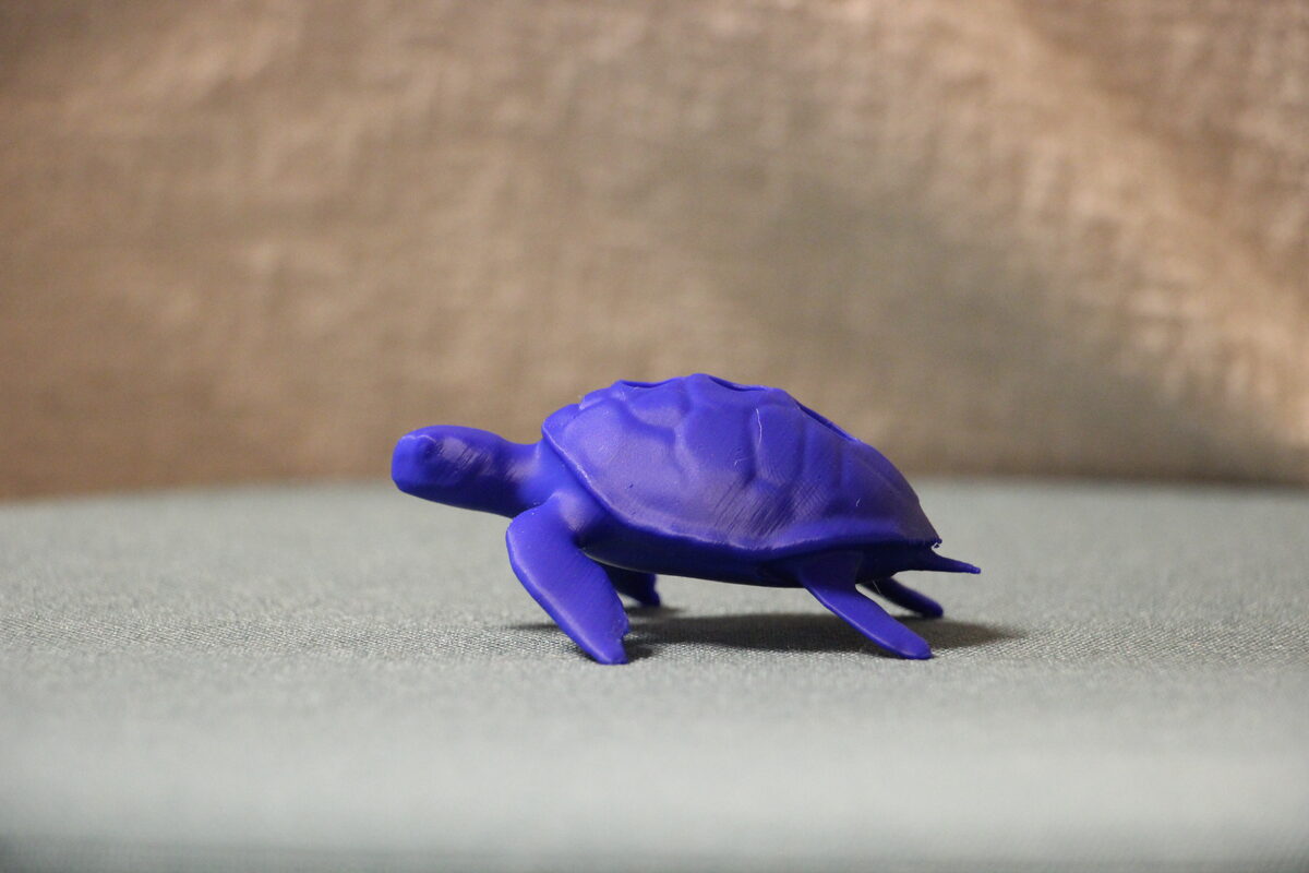 Kapselhalter Schildkröte Blau