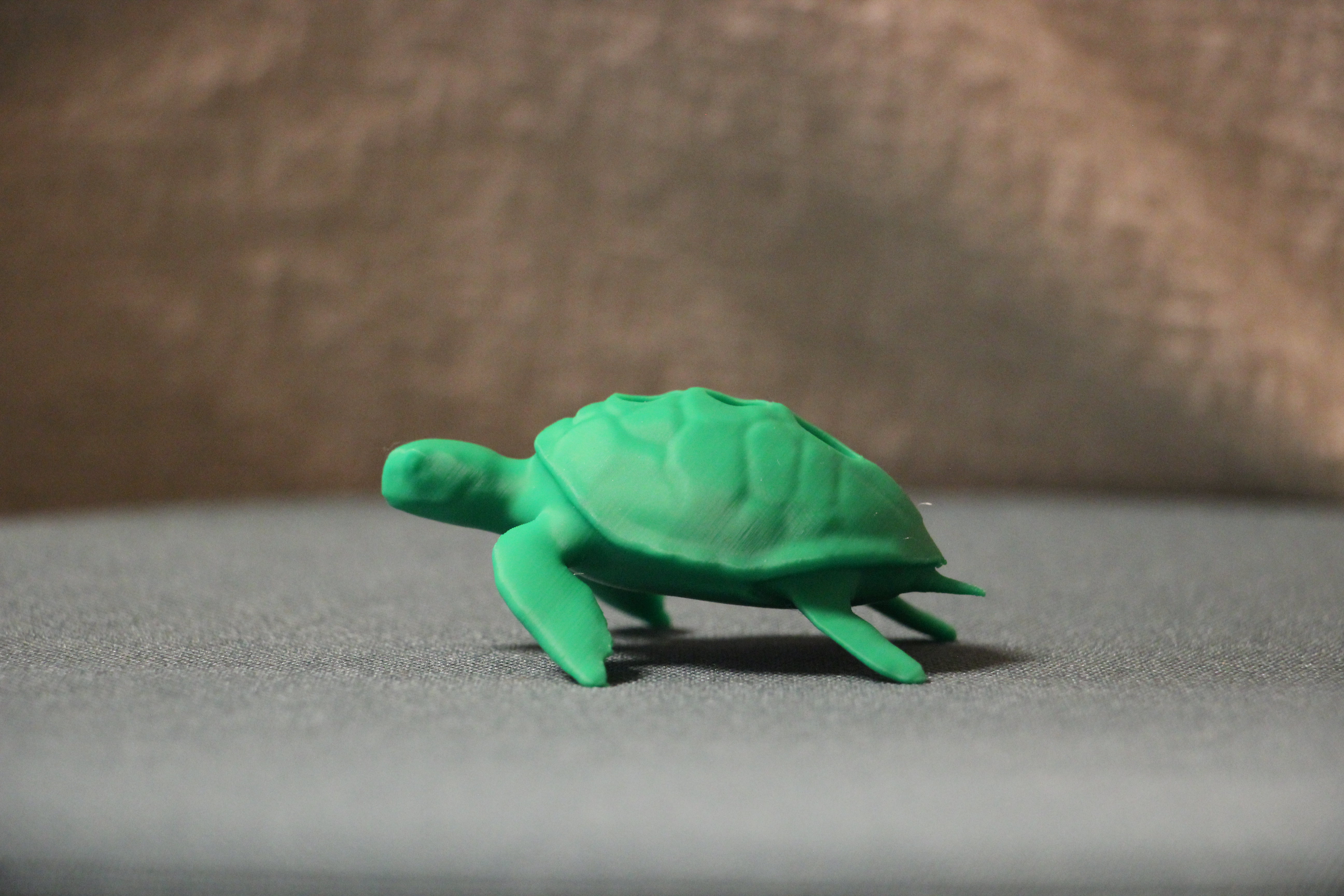 Kapselhalter Schildkröte Grün